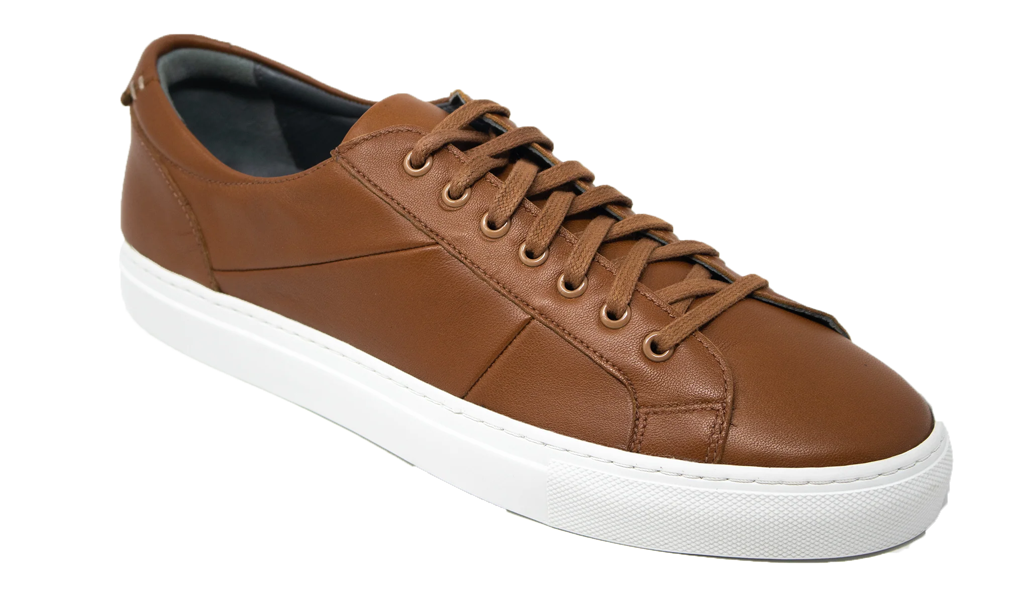 Archie - Cedar Gaby
