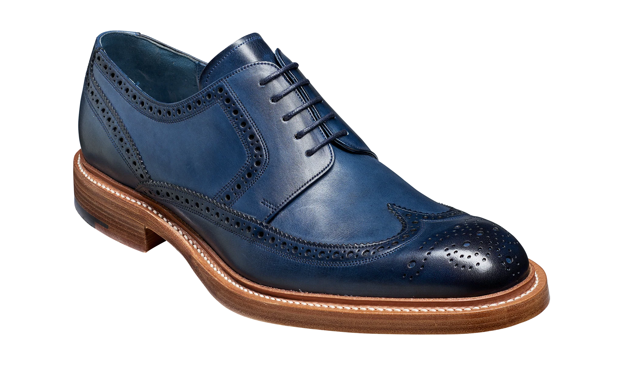 Bailey - Navy Hand Painted - Wingtip Derby Shoe