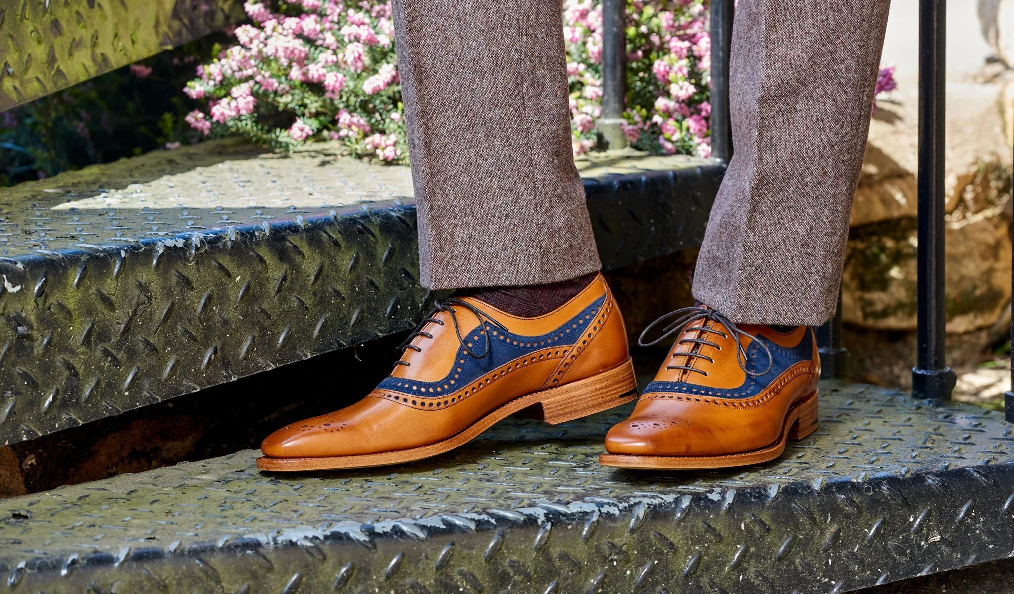 Brandon - Rosewood Calf / Navy Suede - Mens Oxford Brogue - Image 5
